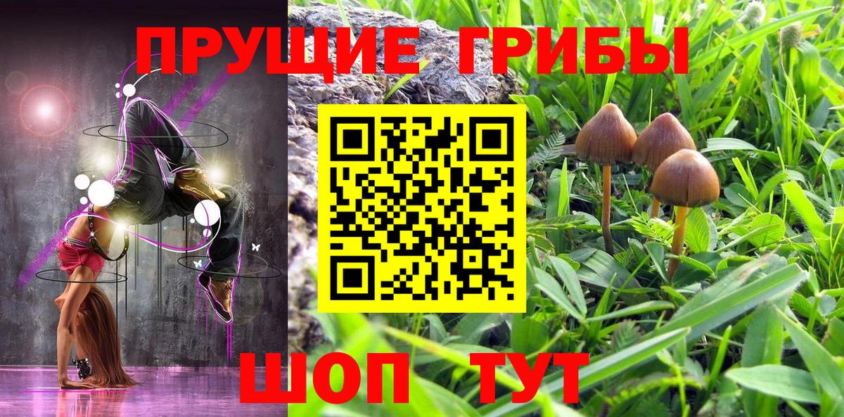 Псилоцибиновые грибы ЛСД  Вход с VPN  Москва  сколько стоит  Галлюциногенные грибы Magic Shrooms 